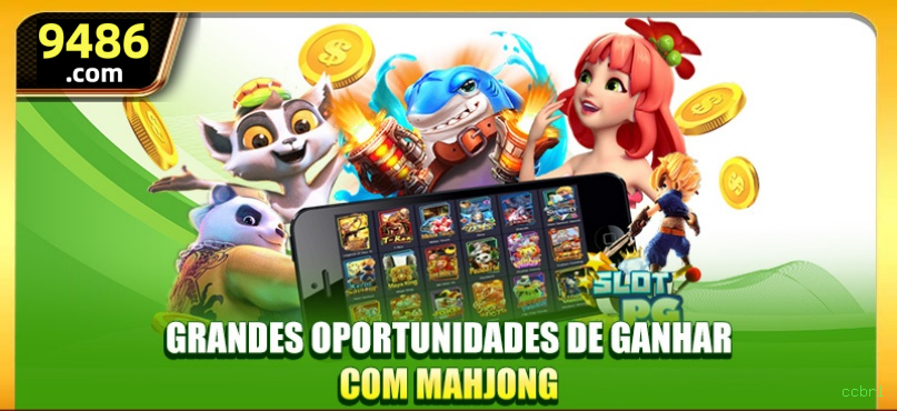 Suporte ccbrl